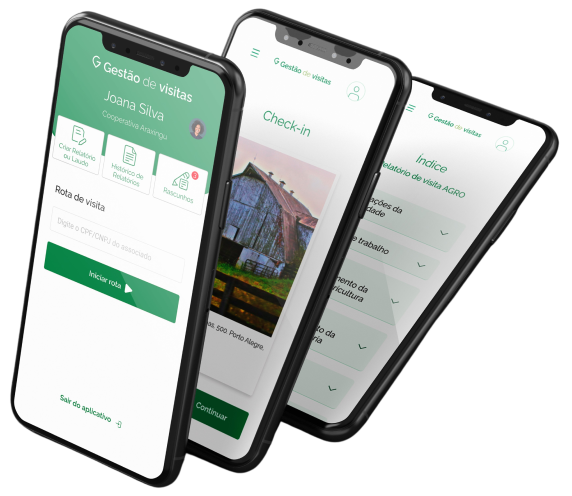 09 07 24 rota de visita check in indice mockup